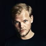 avicii Top 5 EDM Artists of All Time
