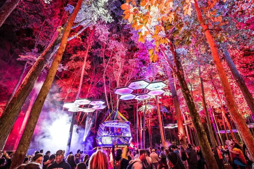 Delaware Music Festival The Top 5 Best EDM Festivals in Deleware