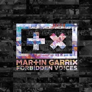 Forbidden Voices Cover Art Top 5 Progressive House Songs of All-Time