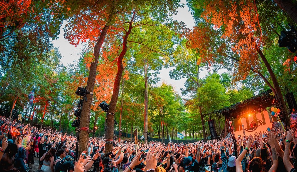 Lost Lands 2024 Report Card Image Lost Lands 2024 in