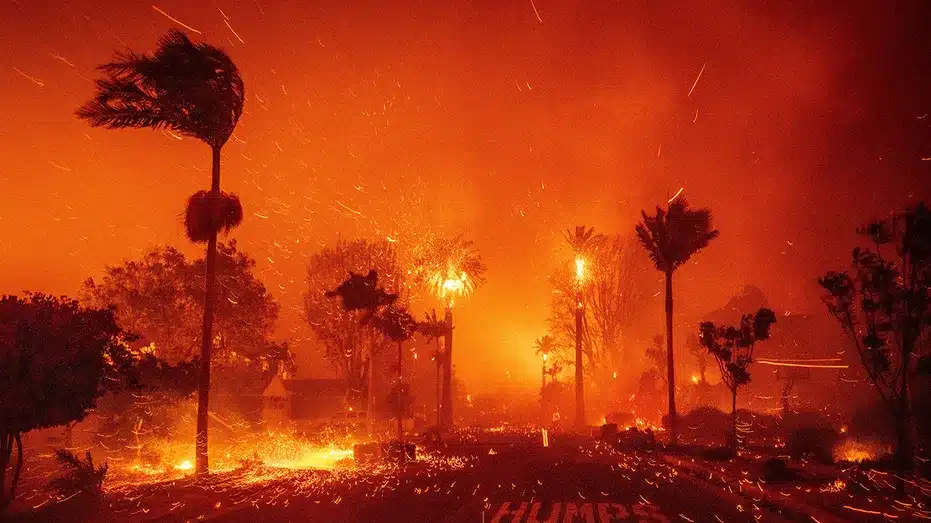 LA Fire Recording Academy and MusiCares Pledge $1 Million for LA Wildfire Relief