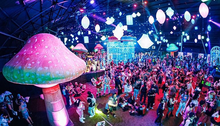 Beyond Wonderland SoCal 2025: Full Lineup, Daily Schedule & Tickets Beyond Wonderland 2025