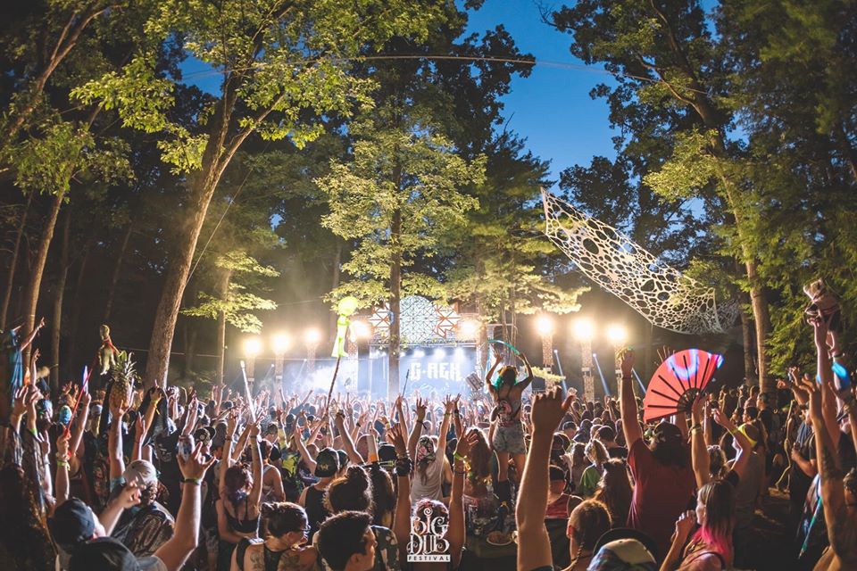 Big Dub fest Big Dub Music Fest