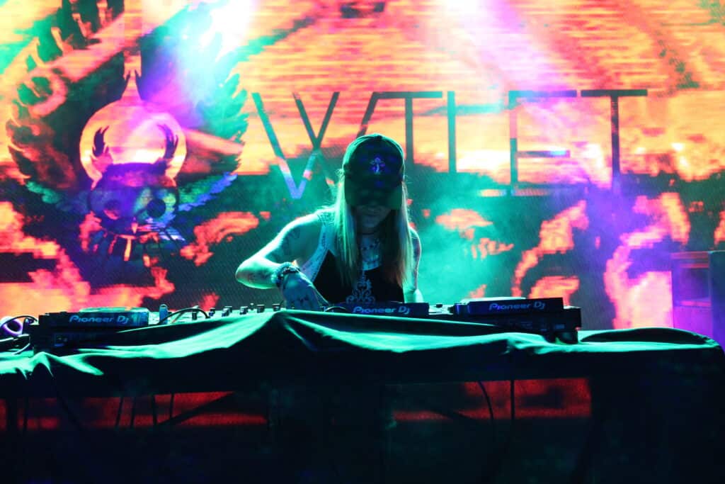 Top 3 EDM Festivals in Missouri Dubzarks festival in Missoiri